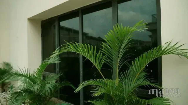 Floor-to-ceiling glazing on the side of the duplex, with a potted palm in front